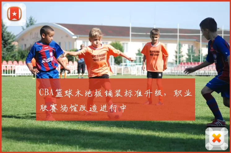 CBA篮球木地板铺装标准升级，职业联赛场馆改造进行中