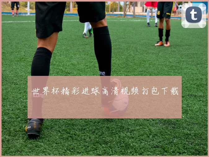 世界杯精彩进球高清视频打包下载