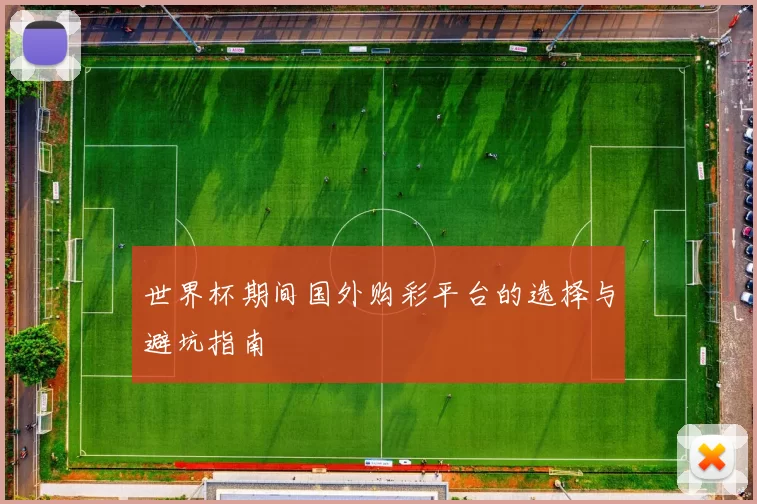 世界杯期间国外购彩平台的选择与避坑指南