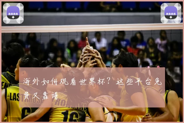 海外如何观看世界杯?这些平台免费又靠谱