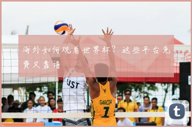 海外如何观看世界杯？这些平台免费又靠谱