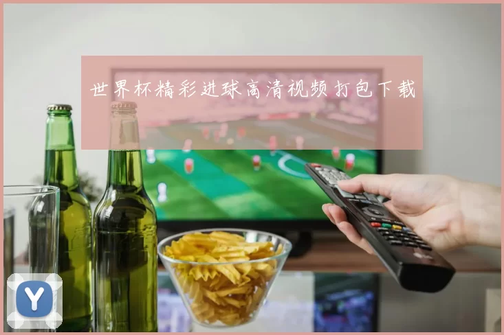 世界杯精彩进球高清视频打包下载