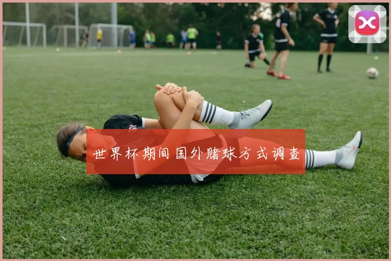 世界杯期间国外赌球方式调查