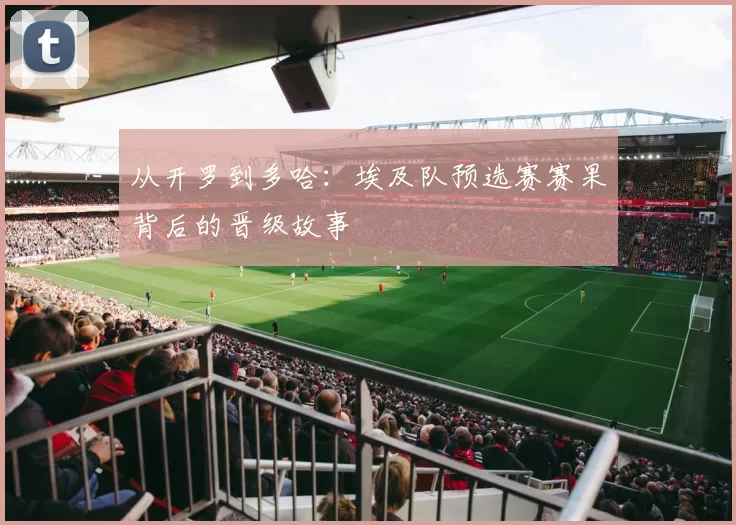 从开罗到多哈:埃及队预选赛赛果背后的晋级故事