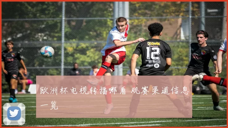 欧洲杯电视转播哪看 观赛渠道信息一览